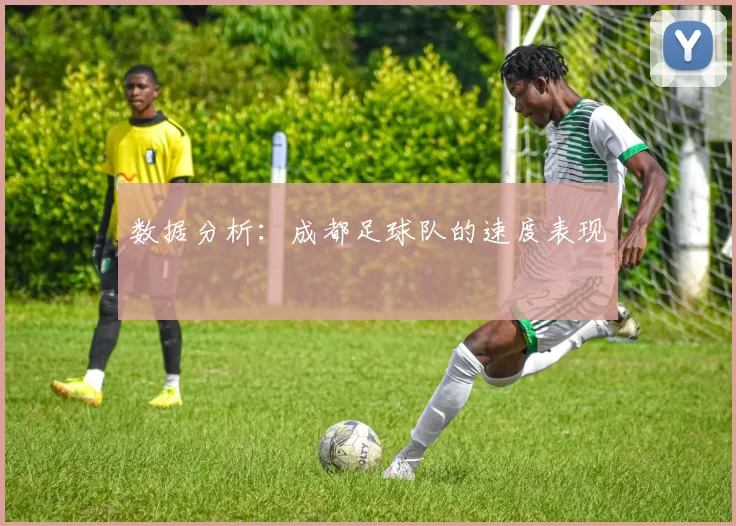 数据分析：成都足球队的速度表现