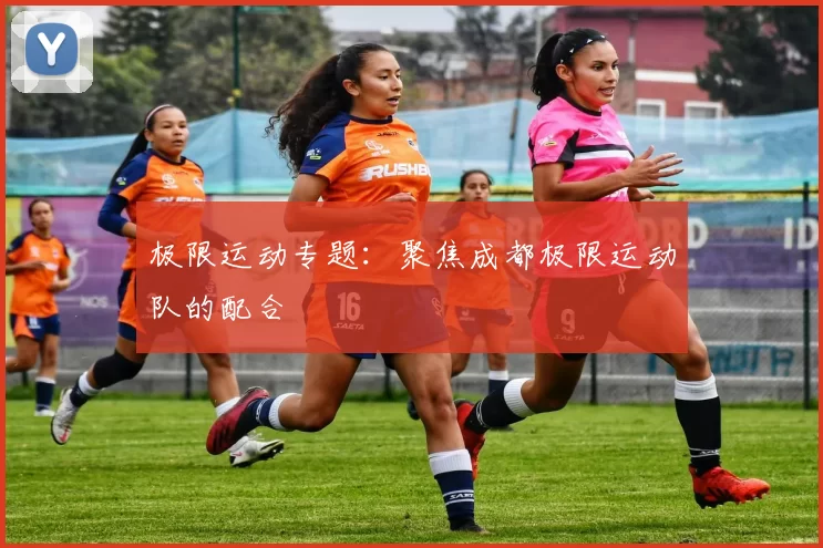 极限运动专题：聚焦成都极限运动队的配合