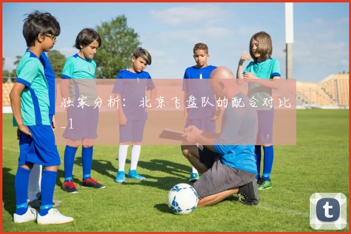 独家分析：北京飞盘队的配合对比_1